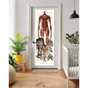 โปสเตอร์อนิเมะ Attack on Titan โปสเตอร์ติดประตู - Product Image 2