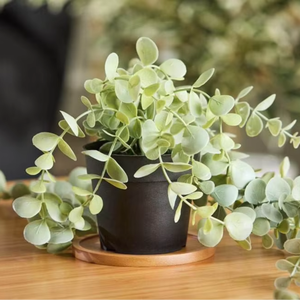 Bambou caboteur Vaisselle Ustensiles de cuisine Écologiquement et sans danger pour la santé Produits vietnamiens en gros. - Product Image 5