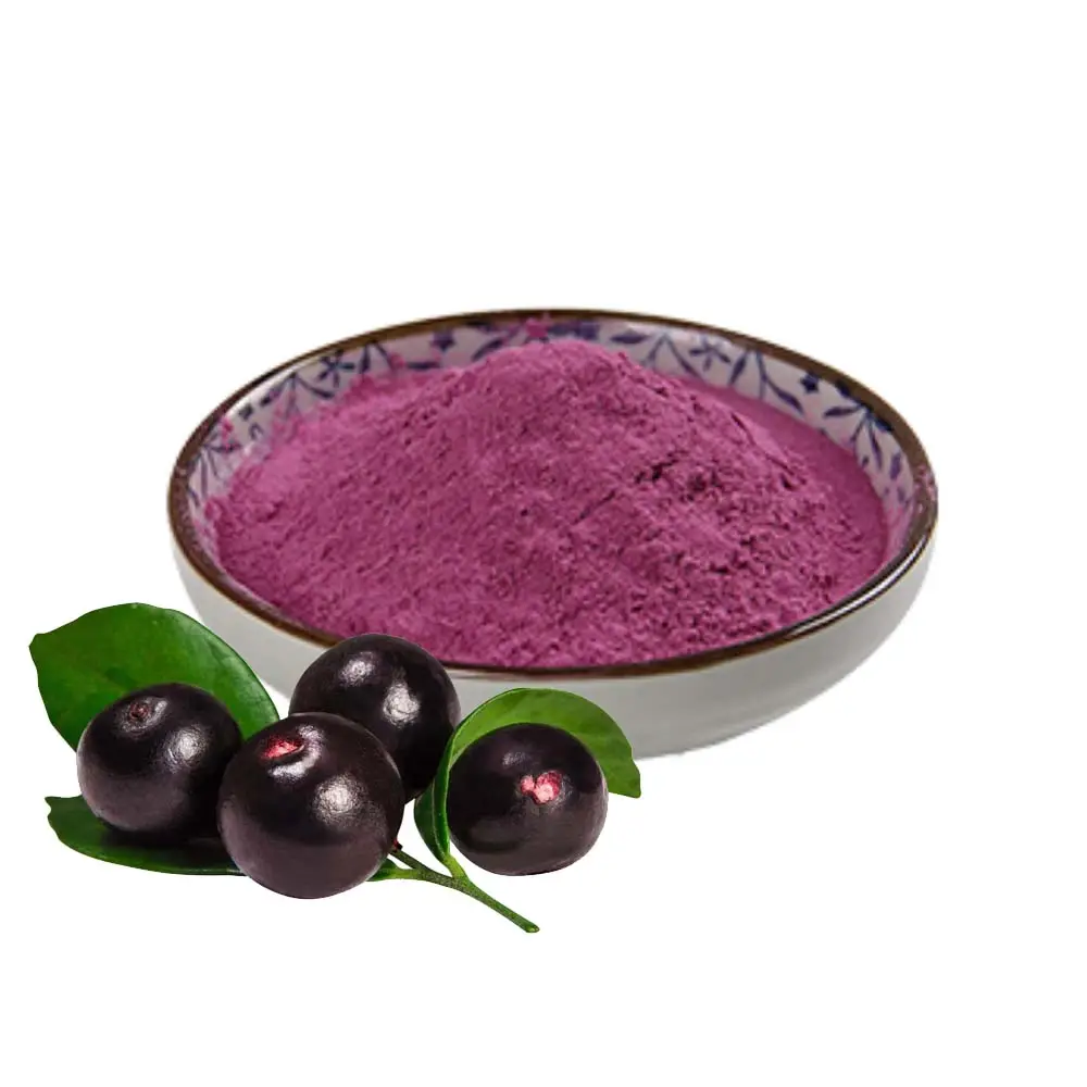 Suco de Acai em Pó orgânico, 100% Natural e Pó de Acai Seco por Spray