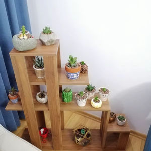 Modern Durable Handmade Rectangle Buffalo Bone Photo <b>Frame</b> with Detachable <b>Plant</b> Holder - Product Image 1