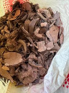 Vỏ dừa nghiền vỏ dừa - Product Image 5