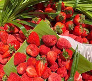 Fraises séchées lyophilisées sans sucre, collation de fruits croustillants pour céréales, garniture de yaourt, fabrication de marque privée, fraises séchées du Vietnam - Product Image 4