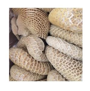 Omasum de bœuf congelé salé séché/ Estomac de vache/ Qualité supérieure Halal - Product Image 3