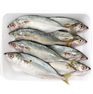 Fruits de mer de haute qualité poisson entier papillon maquereau congelé HGT emballage sous vide faible en gras faible en glucides Allemagne à vendre - Product Image 3