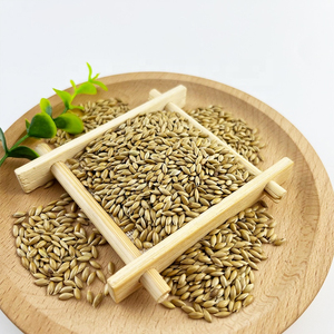 Graines d'alpiste en gros pour canaris, grimpets jaunes et pinsons verts – Prix de gros pour graines de canaris - Product Image 6