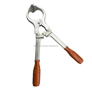Pince de castration réutilisable en acier inoxydable pour chien, chèvre, chirurgie sans sang, fournitures vétérinaires, DEBONAIRII - Product Image 3