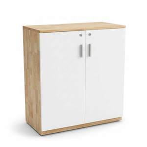Two-Tier Minimalist Metal <b>Storage</b> <b>Cabinet</b> 80x40x87cm THS68023 Rubber Wood Filing <b>Cabinet</b> Hinged Doors <b>Lockable</b> for Workshops - Product Image 1