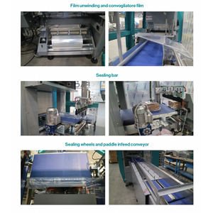 High Productivity for Flowpack Top Sealing Machine STAREVO 600 SS Non-Food Food Wrapping Works POF PE BIO LAMINATED Made Italy - Product Image 6