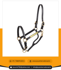 Licou réglable en cuir haut de gamme avec plaque signalétique licou en gros avec plaque signalétique intelligent - Product Image 4