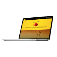 Concepteur de sites web professionnels |   Conception et développement web, expérience UI/UX, dropshipping, stock disponible, design responsive, Laravel