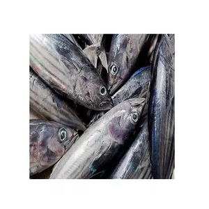 Caballa Entera Congelada, Limpia, Eviscerada, Lista para Enviar, Mariscos - Product Image 3