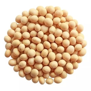Graines de soja non-OGM à haut rendement avec 18 % de protéines, maturité précoce, conditionnement en vrac 25 kg pour une production agricole améliorée - Product Image 5