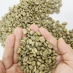 Granos de café verde Robusta y Arábica orgánicos de primera elección Origen único Vietnam Secado al sol Tostado Aroma rico Sabor con cuerpo - Product Image 4
