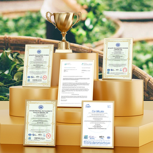 Té Oolong Tieguanyin XC07 <span class=keywords><strong>AT116</strong></span>, 500g, Té Saludable de Fujian, Empaquetado en Lata, Té Suelto - Product Image 6