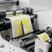 Machine d'impression flexographique DBRY320 pour l'impression d'étiquettes de bagages/sacs avec unité de découpe et de refendage multi-stations en option