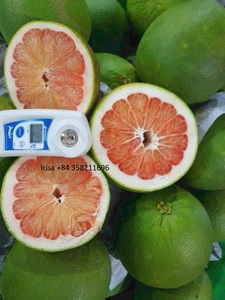 Proveedor Mayorista de Pomelo Rosa de Alta Calidad que Ofrece Fruta Cítrica Dulce y Jugosa para Mercados Internacionales - Product Image 5