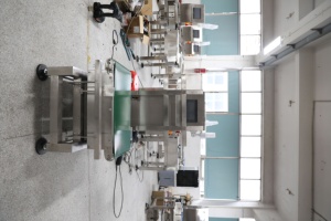 Comprobador de peso de alimentos en movimiento, transportador dinámico, pesaje único de alta precisión, 1g, línea Industrial de conexión - Product Image 6