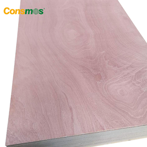 Madera de Okoume, Bintangor, Cedro Lápiz, Pino, <span class=keywords><strong>Abedul</strong></span>, Sapeli, Álamo, 1220*2440 mm, E0, Moderna, Ecológica, 1 Año de Garantía, <span class=keywords><strong>Abedul</strong></span> Comercial - Product Image 4