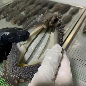 Pepino de Mar Negro Congelado al Vacío de Alta Calidad, Sin Grasas Trans, para Exportación al por Mayor desde China, con Cuatro Lados, para Reforzar el Sistema Inmunitario - Product Image 4