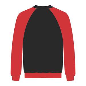 Sudadera con Mangas Raglán y Bordado Chenille de la Hermandad Griega Delta Divine Nine, Estilo Universitario, para Estudiantes Negros de HBCU - Product Image 3