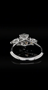 Elegante Anillo de Compromiso con Diamante en Forma de Corazón y Redondo, Oro Blanco de 14K, Cultivado en Laboratorio, 3 Quilates, VS1, Certificado E F, Proveedor en Línea - Product Image 6