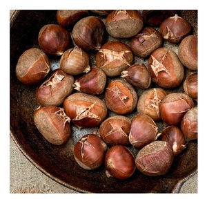Prix de gros des châtaignes fraîches brutes - Product Image 4