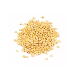 以批发价畅销优质和受欢迎的健康印度黄小米