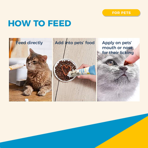 Gel de beauté des cheveux OEM pour chats Pâte nutritionnelle Produit pour animaux de compagnie Gel de supplément nutritionnel pour animaux de compagnie - Product Image 5