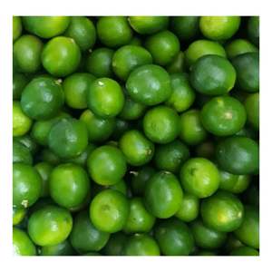 Kích thước lớn chanh xanh tươi không có hạt siêu vị chua và giàu nước chanh tươi Việt Nam Nhà cung cấp sẵn sàng để vận chuyển chanh - Product Image 5