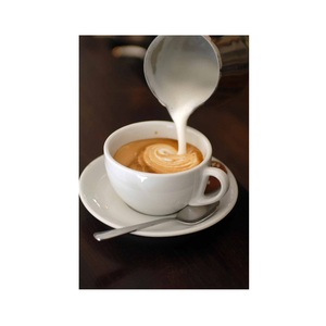 กาแฟคาปูชิโน่สำเร็จรูปชนิดผง รสช็อกโกแลต คุณภาพดีที่สุด ขายส่งจำนวนมาก ไม่มีน้ำตาล ช่วยลดน้ำหนัก พร้อมดื่ม - Product Image 1