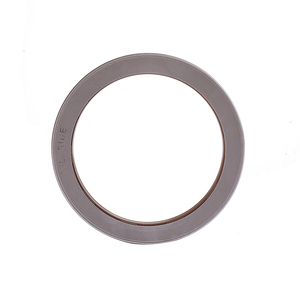 <span class=keywords><strong>Stefa</strong></span> система 500/3000/5000 кассета уплотнение 110X140X14/17 TCS для центрального движения колеса сальники с FKM материал - Product Image 5