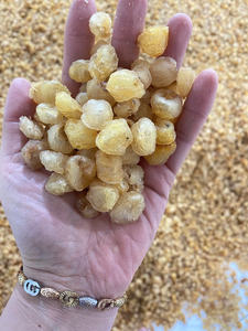 ลิ้มรสเขตร้อนด้วยลำไยสดใหม่: เวียดนามหวานลำไยธรรมชาติแห้งเพื่อความสมบูรณ์แบบมีกลิ่นหอมเป็นที่ต้องการอย่างมาก - Product Image 5