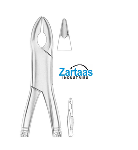 Pince d'extraction en acier inoxydable de haute qualité, incisives supérieures. Canines, prémolaires fig 201 Fabricant et exportateur - Product Image 4