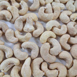 Meilleure Qualité SANTIGO Cashew Kaju Noix De Cajou Noix De Cajou W450 Logo Privé Imprimé GRATUIT - Product Image 1