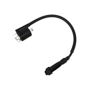 Bobina de Encendido Original Yamaha B74H23100100 de Plástico en Estado Nuevo para Motocicleta XMAX 300 2017 - Product Image 1