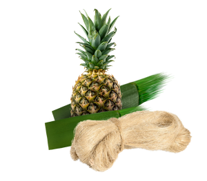 FIBRA DE PIÑA SOSTENIBLE/ARTESANAL DE CALIDAD/HECHO EN VIETNAM - Product Image 1
