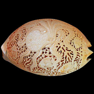 Bijoux en coquillages sculptés, 30 cm, forme naturelle, motif animalier, toucher réel, art et objet de collection - Product Image 2