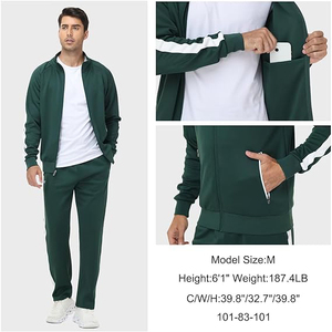Conjunto Deportivo para Hombre, Poliéster, Cierre de Cremallera, Cuello Alto, Transpirable, Ligero, Atlético, para Correr, Gimnasio, Casual - Product Image 3