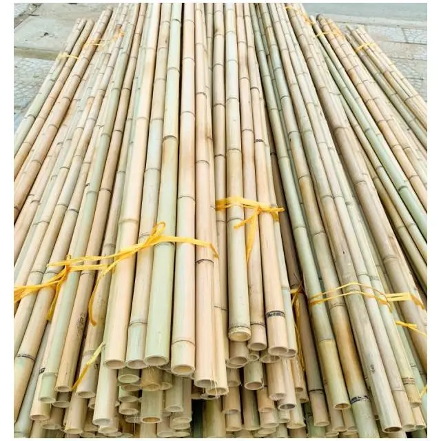 Postes de bambú para plantas, soporte para jardinería, varios tamaños, embalaje personalizado de grado superior, precio barato