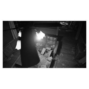 Pour PlayStation 4 Resident Evil 7 Biohazard Gold Edition Jeu vidéo PEGI 18+ Jeux de cartes SP4R15 - Product Image 5