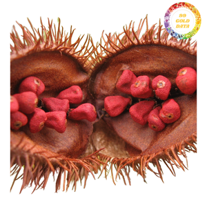 Colorant Annatto pour les fabricants alimentaires professionnels exigeant une coloration naturelle avec une faible teneur en humidité et une haute résistance - Product Image 5
