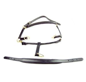 Licol en cuir Cheval Halter Cadeau élégant pour les amateurs d'équitation - Product Image 5