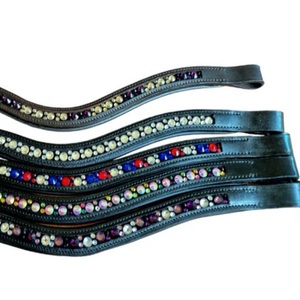 Forma de onda, cristales multicolores personalizados, cadena de fijación en caliente, canal vacío inalid, banda de cuero acolchado para cejas de caballo en tamaños de mazorca completos - Product Image 3