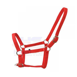 Produits équestres licou cheval réglable en cuir personnalisé OEM licou équitation - Product Image 2