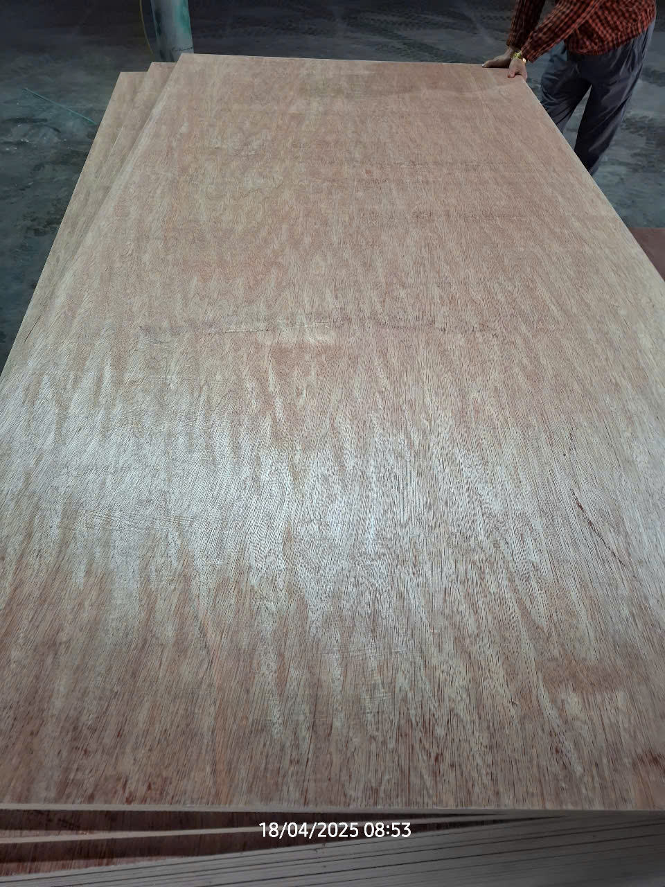 สีน้ำตาล