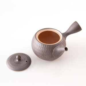 Asayu Traditional Japanese <b>Teapot</b> 360ml Tobikanna - Product Image 2