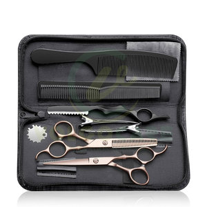 Tijeras de peluquero profesional Juego de tijeras de peluquería con tijeras de adelgazamiento de cabello de acero inoxidable para hombres Mujeres Mascotas 10 piezas - Product Image 1