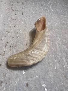 Cuerno de Shofar de Carnero Natural Pulido - Decoración Religiosa Ecológica para el Hogar de Alta Calidad - Product Image 4
