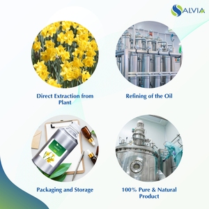 100% Huile essentielle de jonquille pure et naturelle en gros en vrac avec emballage personnalisé à bas prix - Product Image 4