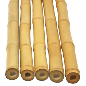 원시 천연 대나무 기둥 공장 도매 인공 대나무 지팡이 정원 스테이크 공장 가격 베트남에서
